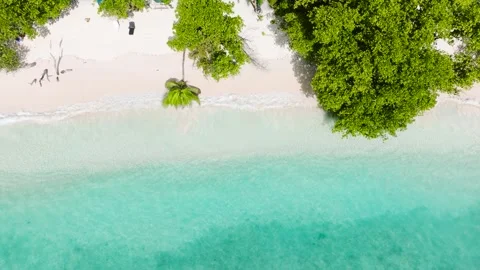 Lush green forest meets white sandy beach and clear sea. La Digue, Seychelles. Stock Footage 303633753