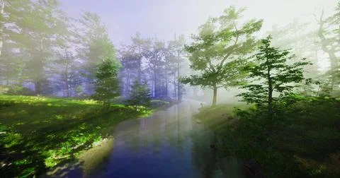 Lush green forest with mist and a tranquil stream in early morning light Stock Illustration