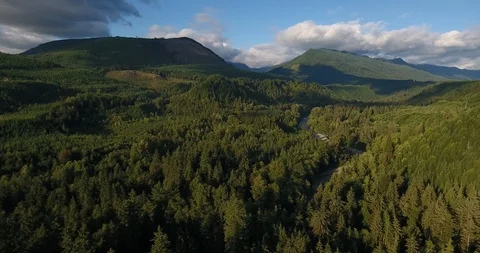 Lush green forest with mountain range on a sunny day Stock Footage 105410175