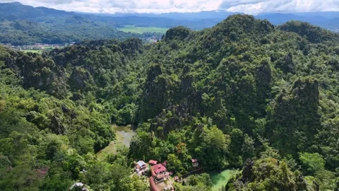 A lush green forest with mountains in the background Video stock 277641824
