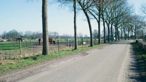 Lush green forest overlooking a town on a foggy day Video stock 332043496