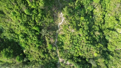 Lush Green Forest Path Hike in Cox's Bazar, Bangladesh (2024) 4K Stock Footage 274726321