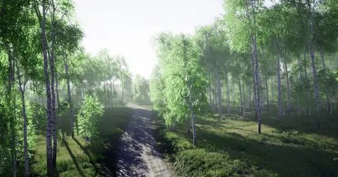 Lush green forest path illuminated by morning light in tranquil nature settin Stock Illustration