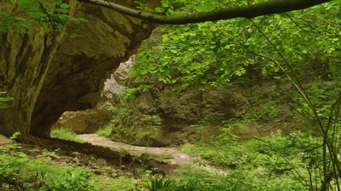 Lush Green Forest Path Leading into a Rocky Gorge in the Caucasus Mountains Stock Footage 325635142
