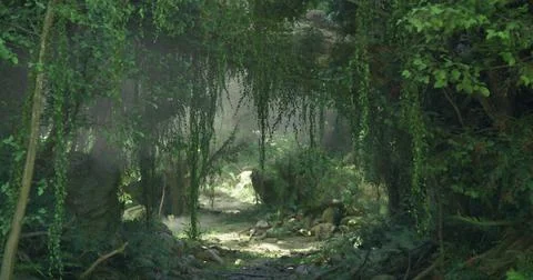 Lush green forest pathway surrounded by dense vegetation and mist Stock Illustration