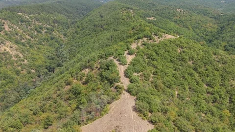 Lush Green Forest Ridges and Hills Near Stob Pyramids, Bulgaria Stock Footage 343365718