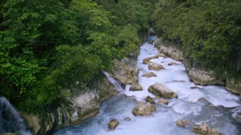 Lush Green Forest River with Cascading Waterfalls and Rocky Rapids Stock Footage 302311829