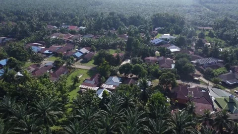 A lush green forest with a small town Stock Footage 319387705