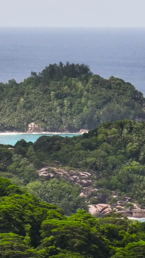 Lush green forest surrounding a hidden cove with crystal clear waters Stock Footage 310481145