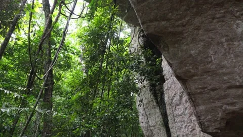 Lush Green Forest Surrounding Rock Formations Stock Footage 336521433