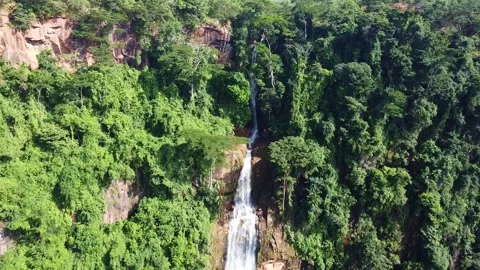Lush green forest surrounds the cascading waterfall, creating a serene and Stock Footage 316925672