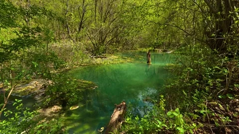 Lush green forest surrounds a clear. Balkan, Eastern Europe, POV Video stock 333589000