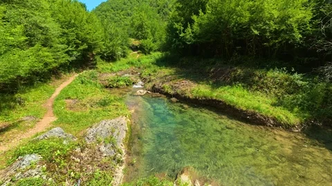 Lush green forest surrounds clear. Gradasnica River Canyon, Serbia 库存影片 342320376