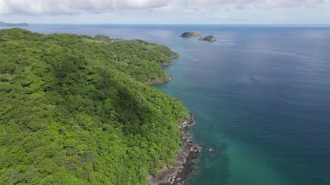 Lush Green Forest Touching Deep Blue Ocean Stock Footage 170709580