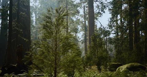 Lush green forest with towering trees in bright daylight near a calm grove Stock Illustration