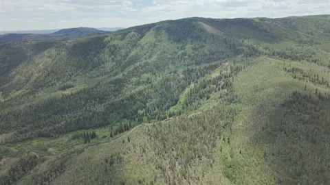 Lush Green Forested Hills in Uinta Mountains Utah Stock Footage 338305331