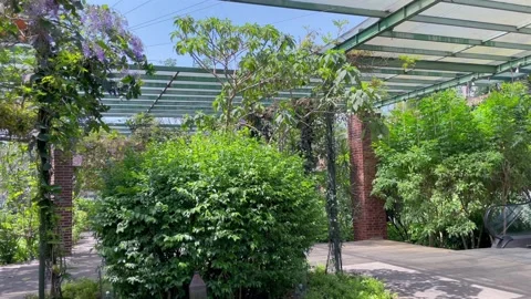 Lush green garden pathway under a modern pergola on a sunny day. Stock Footage 320487490