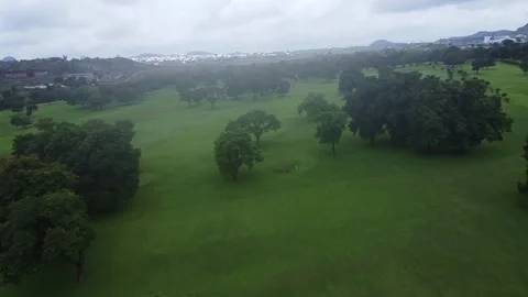 Lush Green Golf Course Landscape with Trees, Overcast Skies, and Distant Stock Footage 314403695