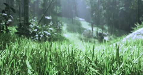 Lush green grass and trees illuminated by sunlight in a serene forest Illustrazione stock