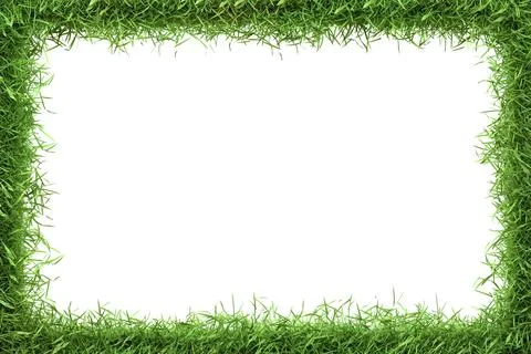 A lush green grass border frames a central white space Stock Illustration