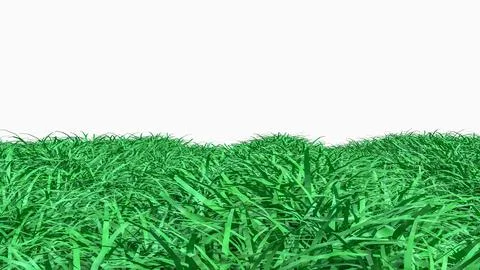 Lush Green Grass Field Background with Clean White Copy Space 3d render. 库存插图