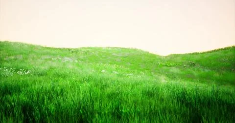 Lush green grass fields under a soft sky at sunrise in a tranquil landscape Illustrazione stock