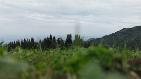 Lush green grass foreground with distant mountain view under cloudy sky 스톡 동영상 340394652