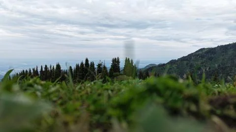 Lush green grass foreground with distant mountains and cloudy sky Stock Photos