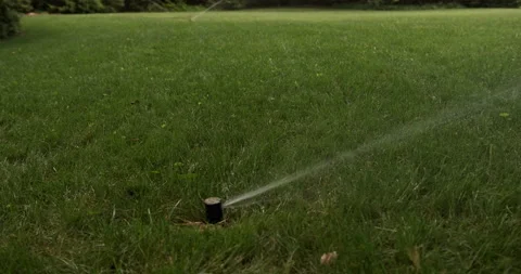 Lush green grass, irrigation system sprinkler, tilt up to row of sprinkler heads Stock Footage 137932068