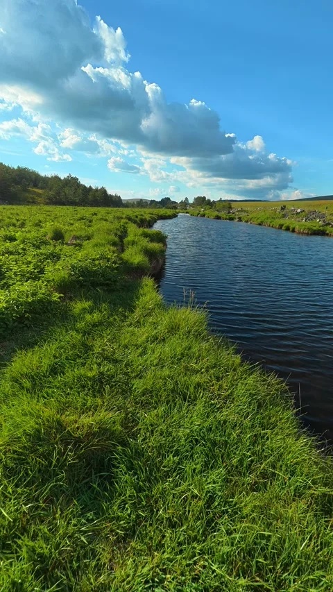 Lush green grass lines calm riverbanks. Black Rzav river. Vertical Stock-Footage 337482641
