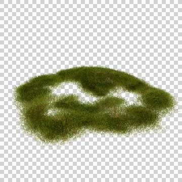 Lush green grass patch isolated for landscaping designs Foto stock