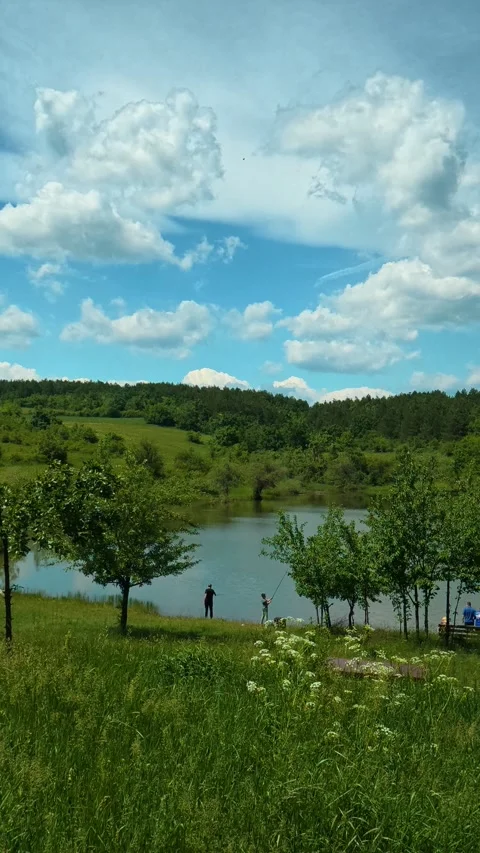 Lush green grass surrounds the rustic board. Vrmdza Lake, Serbia. Vertical Vídeos de archivo 338029881