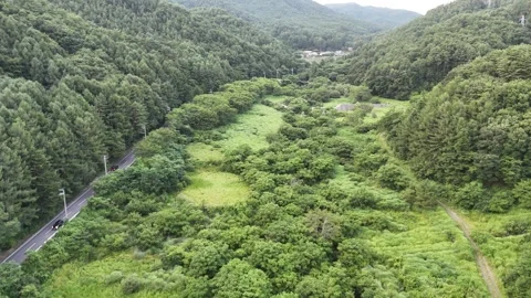 Lush green hills frame winding road and grassy valley 库存影片 343247188