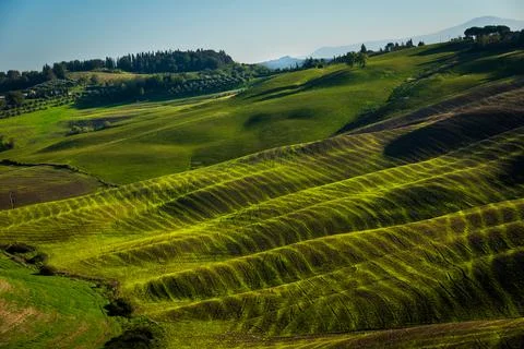 Lush green hills with patterns under sunlight in a picturesque countryside Stock Photos