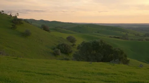 Lush Green Hills With Trees During The Golden Hour In Barossa Valley 스톡 동영상 333661440