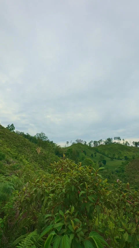 Lush Green Hills Under Cloudy Sky Stock Footage 308352228