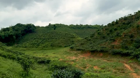 Lush green hills under a cloudy sky with vibrant vegetation and rolling lan.. Stock Footage 339425682