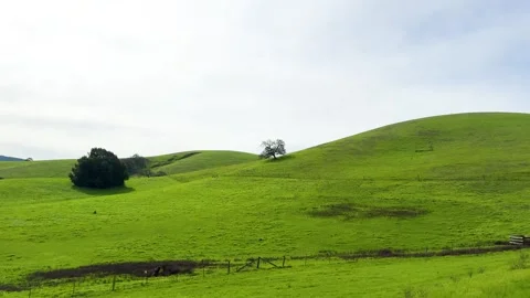 Lush Green Hillscape Stock Footage 271396521