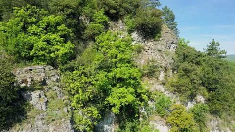 A lush, green hillside covered in dense forest vegetation and rocky outcrops in Stock Footage 346666294