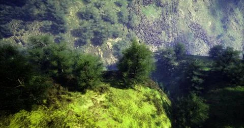 Lush green hillside with dense trees and rocky cliffs in clear daylight Stock Illustration