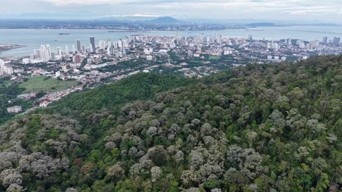 Lush green hillside dominates the foreground 库存影片 339817157