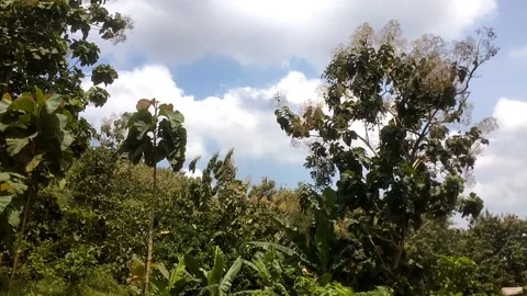 Lush Green Hillside Landscape Stockbeeldmateriaal 332925211