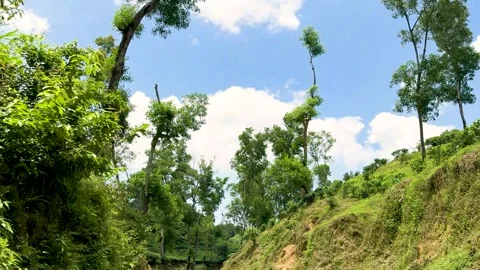 Lush green hillside landscape under a bright blue sky with scattered white .. Stock Footage 339369217