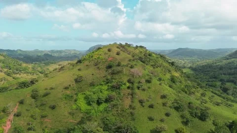 A lush green hillside with trees and grass Stock Footage 328305469