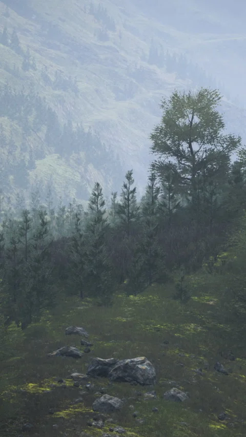Lush green hillside with trees overlooking a foggy valley landscape 스톡 동영상 327198775