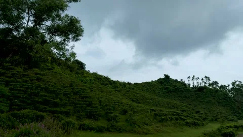 Lush green hillside under dramatic cloudy sky with scattered trees and dens.. Vidéo 339296136