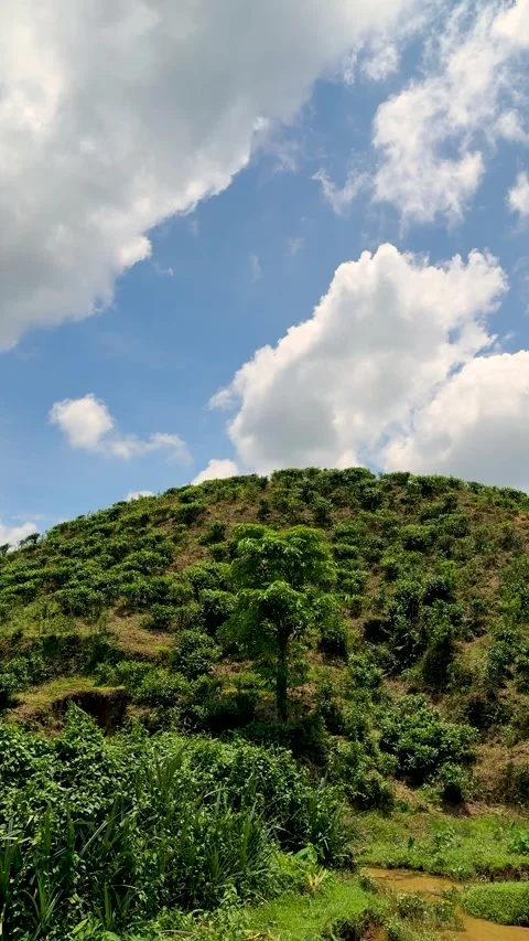 Lush green hillside under a vibrant blue sky with fluffy white clouds on a .. Video stock 338414511