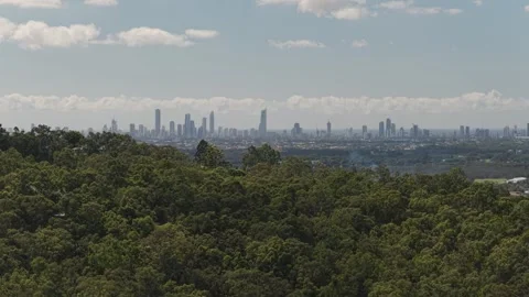 Lush Green Hinterland Forest With View Of Surfers Paradise Skyline In Distance Stockbeeldmateriaal 336341967