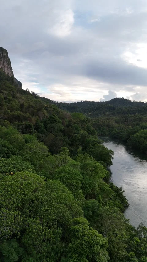 Lush Green Jungle River Flowing Through Hills in Khao Sok, Thailand Stock Footage 335963598