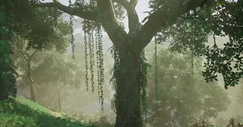 Lush green jungle scene featuring a large tree with hanging vines at dawn Stockillustratie